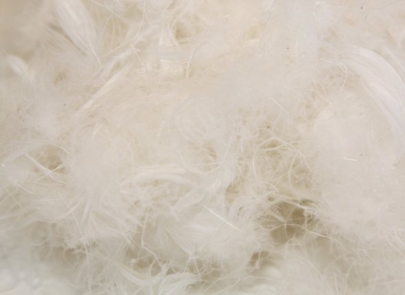 Sleep & Dream hoofdkussen halfdons 45x80 Sleep & Dream hoofdkussen halfdons 45x80