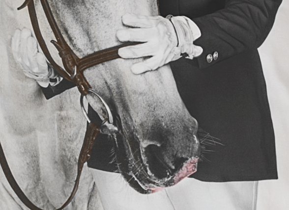 Snurk dekbedovertrek Amazone Snurk dekbedovertrek Amazone