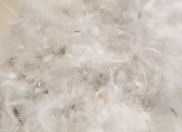 Sleep & Dream hoofdkussen 30% dons Sleep & Dream hoofdkussen 30% dons