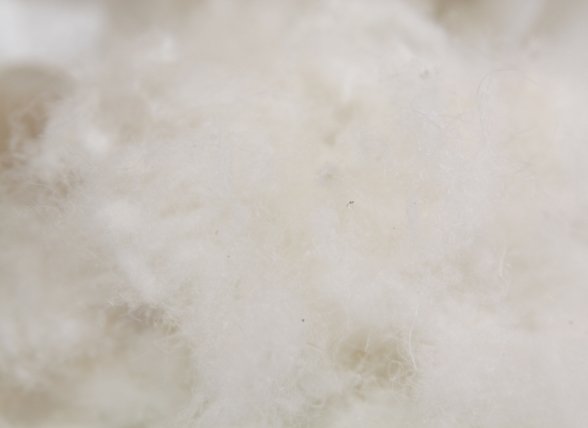 Sleep & Dream hoofdkussen Combi Sleep & Dream hoofdkussen Combi