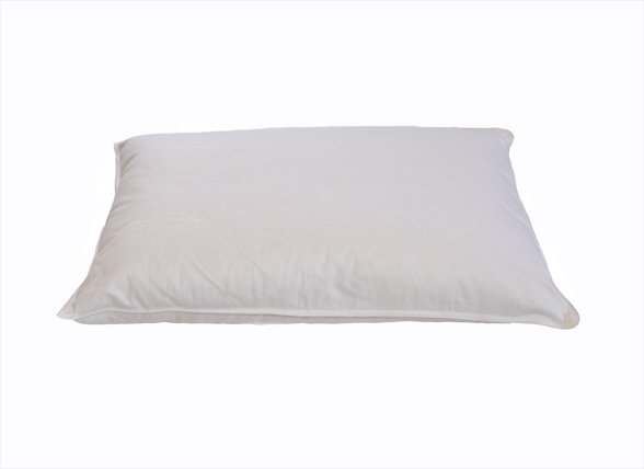 Sleep & Dream kussentje ganzenveren 40x60 Sleep & Dream kussentje ganzenveren 40x60